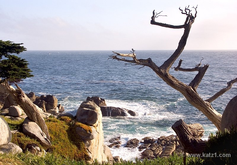 17 Mile Drive 6
